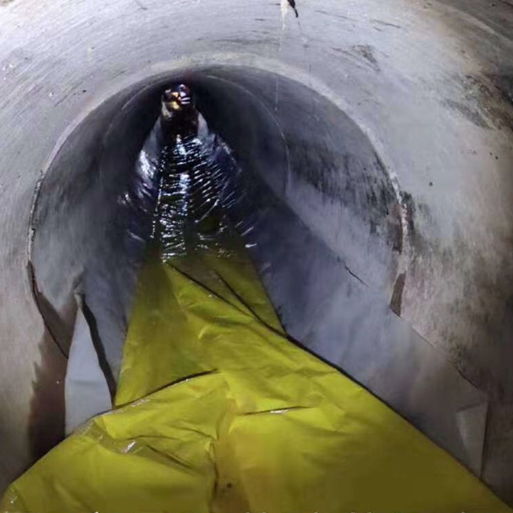 陇川管道光固化修复